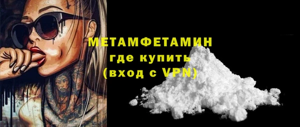 индика Кулебаки