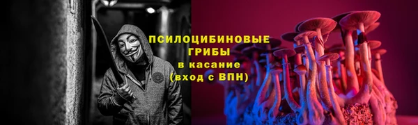 прущие грибы Алексеевка