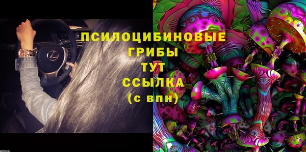 прущие грибы Алексеевка