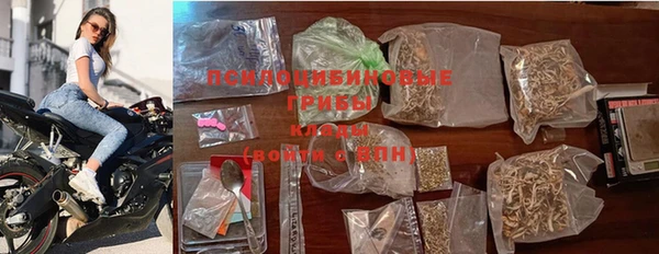 прущие грибы Алексеевка