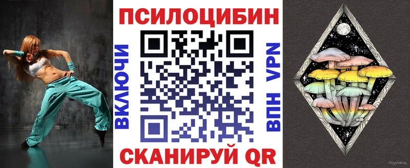 где купить наркоту Волжский мега Галлюциногенные грибы Psilocybe