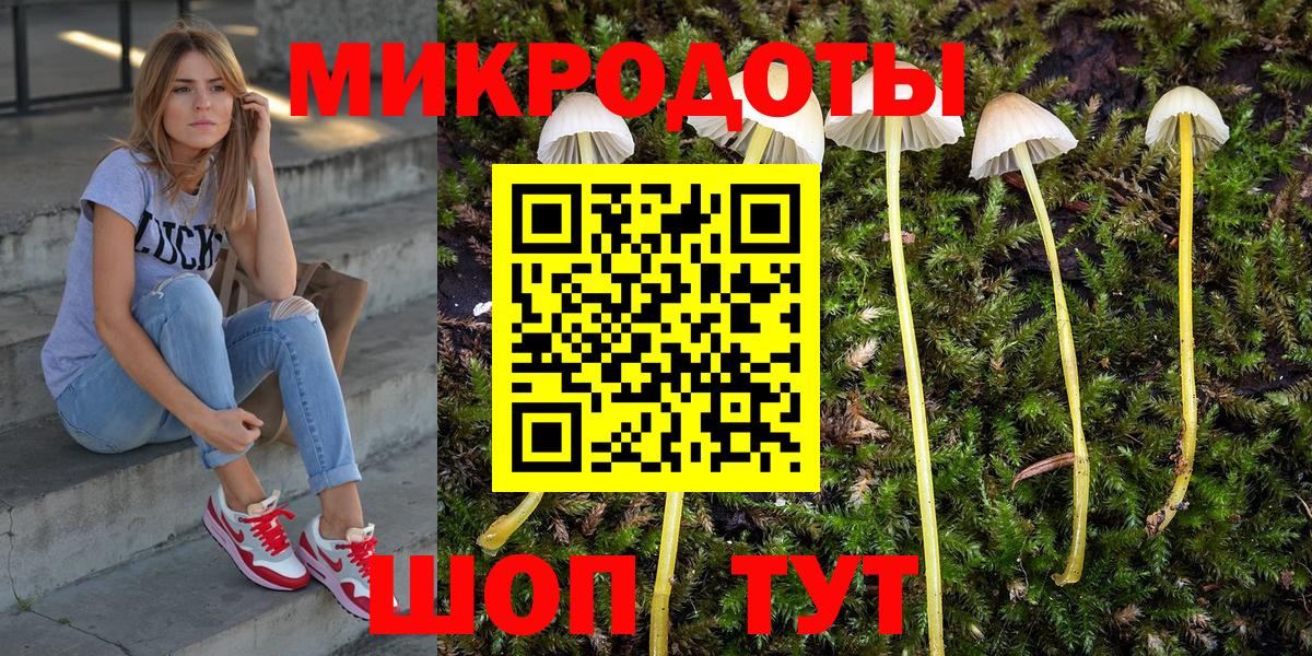 Волжский  Псилоцибиновые грибы ЛСД  Вход с VPN  Псилоцибиновые грибы GOLDEN TEACHER 