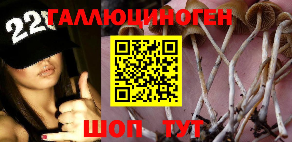 Псилоцибиновые грибы MAGIC MUSHROOMS Волжский